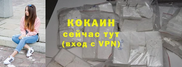 mdpv Вяземский