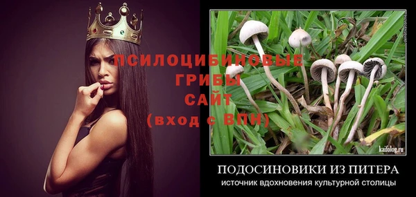 mdpv Вяземский