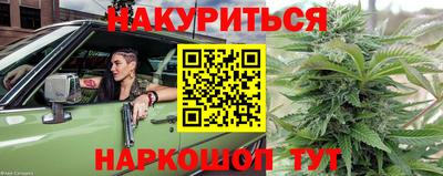 спайс Кингисепп