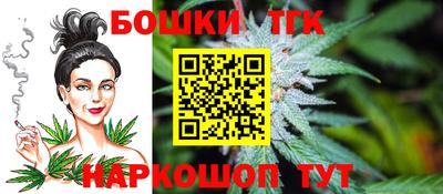 спайс Кингисепп