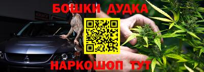 спайс Кингисепп