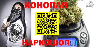 спайс Кингисепп