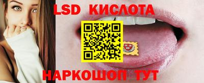 спайс Кингисепп
