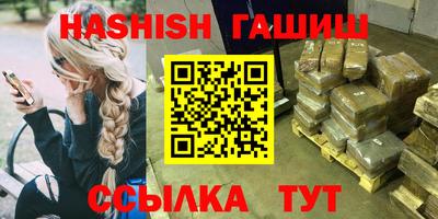 спайс Кингисепп