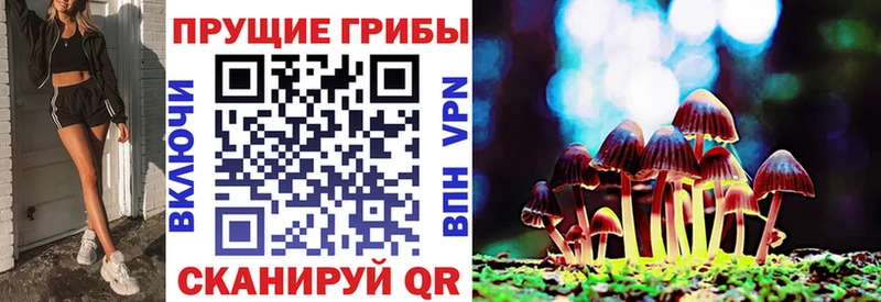 закладка omg ссылка Псилоцибиновые грибы мицелий Когалым