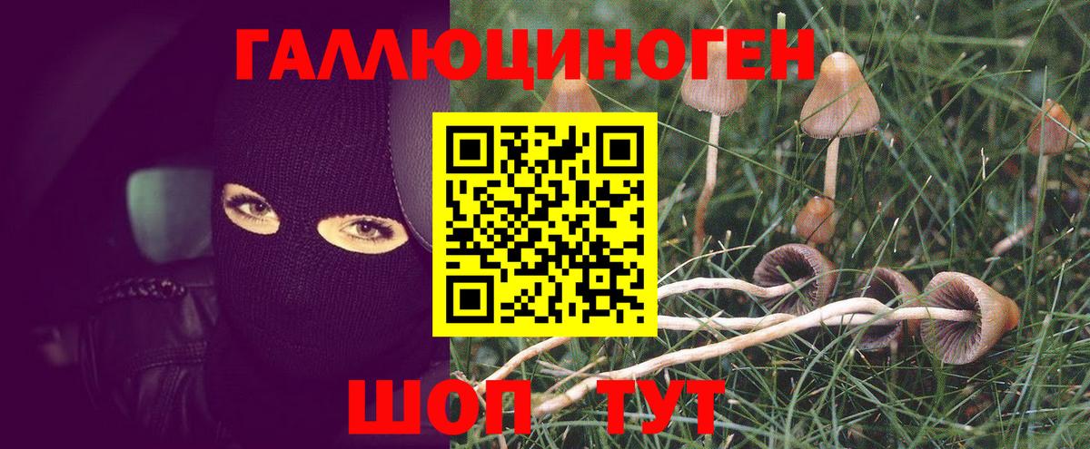 Псилоцибиновые грибы мицелий Когалым