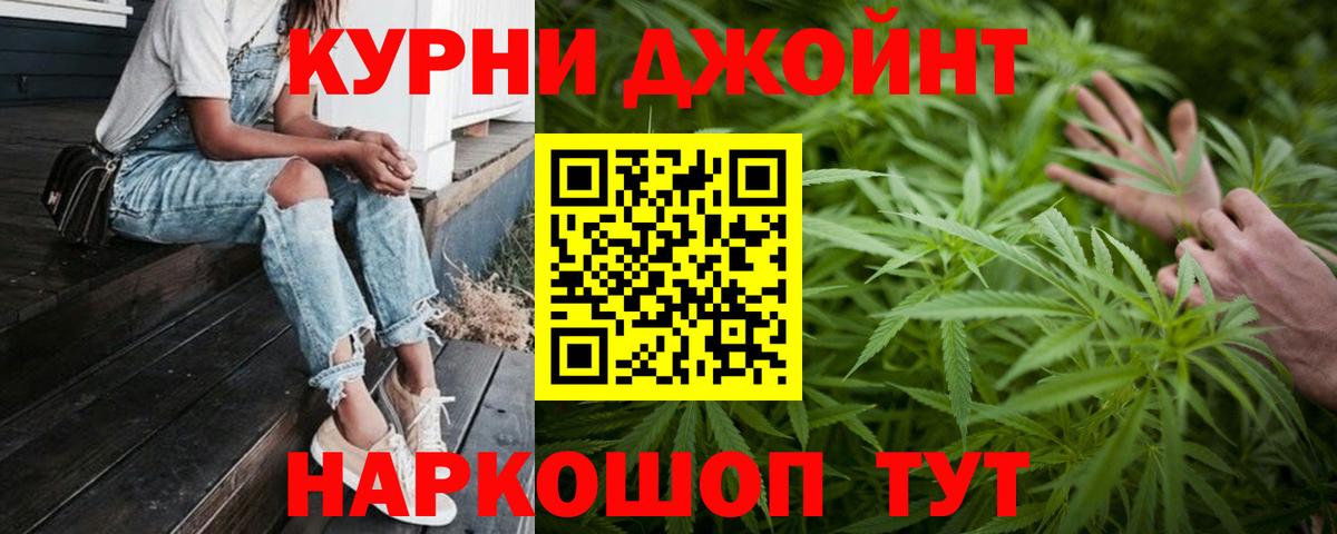 Каннабис индика Когалым